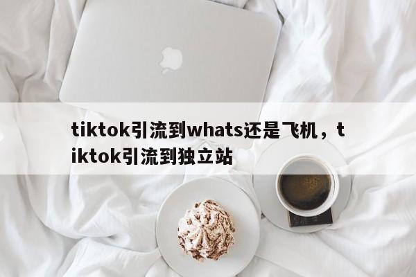 tiktok引流到whats还是飞机,tiktok引流到独立站