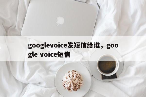 googlevoice发短信给谁,google voice短信