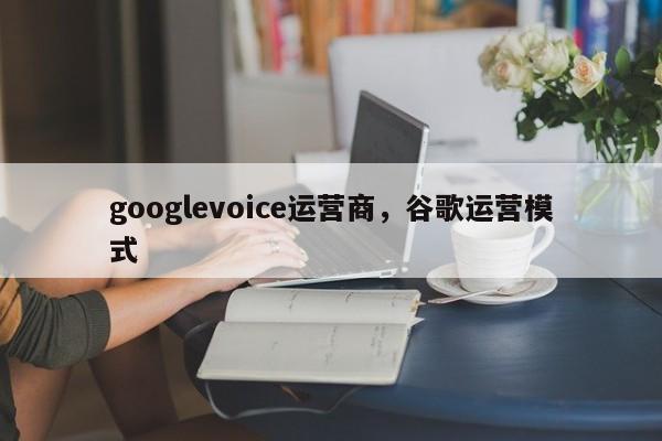 googlevoice运营商,谷歌运营模式