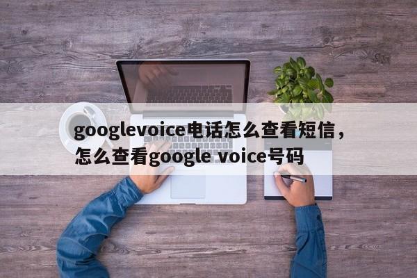 googlevoice电话怎么查看短信,怎么查看google voice号码