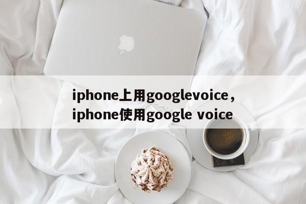 iphone上用googlevoice,iphone使用google voice