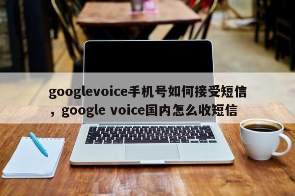 googlevoice手机号如何接受短信,google voice国内怎么收短信