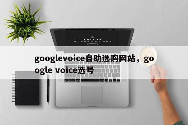googlevoice自助选购网站,google voice选号