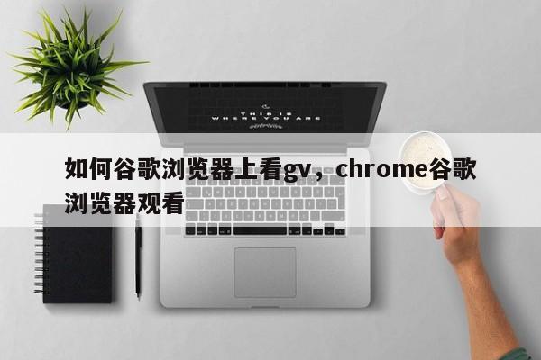如何谷歌浏览器上看gv,chrome谷歌浏览器观看
