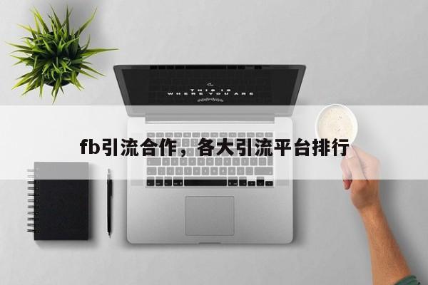 fb引流合作,各大引流平台排行