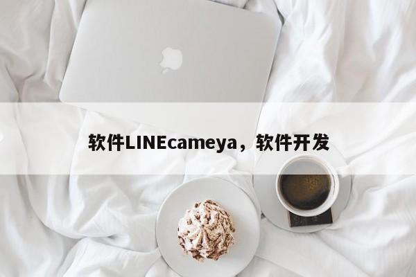 软件LINEcameya，软件开发