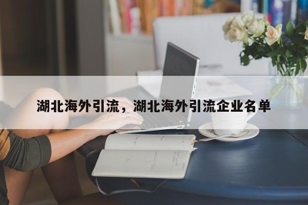 湖北海外引流,湖北海外引流企业名单