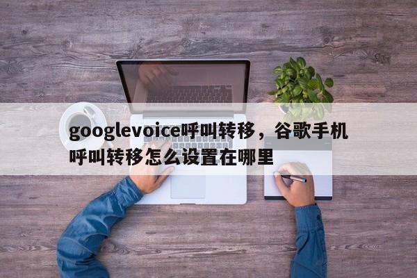 googlevoice呼叫转移,谷歌手机呼叫转移怎么设置在哪里