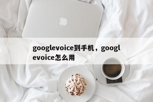 googlevoice到手机,googlevoice怎么用