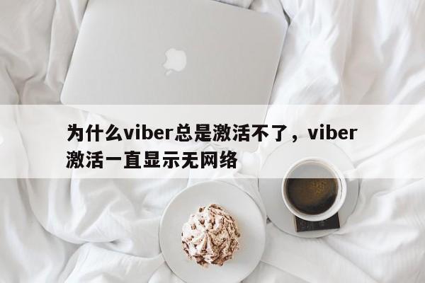 为什么viber总是激活不了,viber激活一直显示无网络