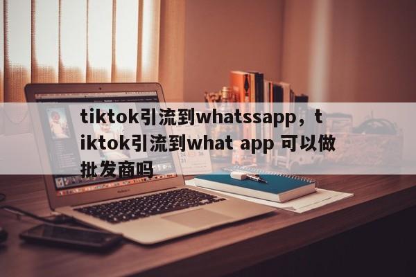 tiktok引流到whatssapp,tiktok引流到what app 可以做批发商吗