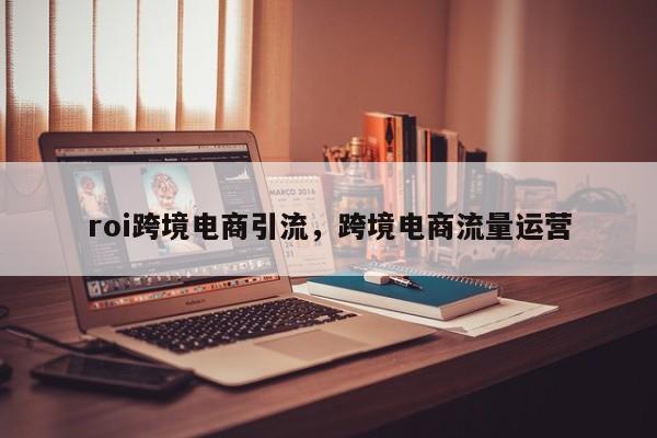 roi跨境电商引流，跨境电商流量运营