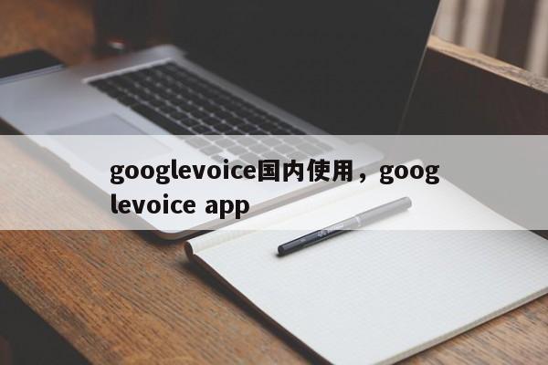 googlevoice国内使用,googlevoice app