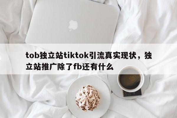 tob独立站tiktok引流真实现状,独立站推广除了fb还有什么