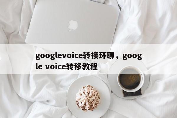 googlevoice转接环聊,google voice转移教程