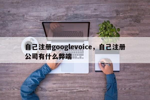 自己注册googlevoice,自己注册公司有什么弊端