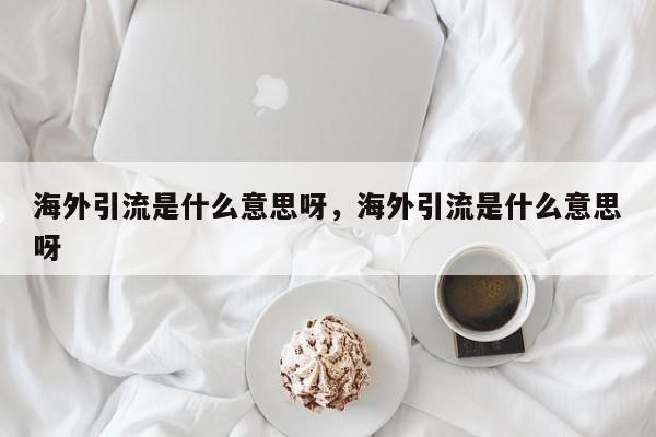 海外引流是什么意思呀,海外引流是什么意思呀