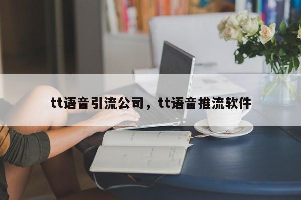tt语音引流公司,tt语音推流软件