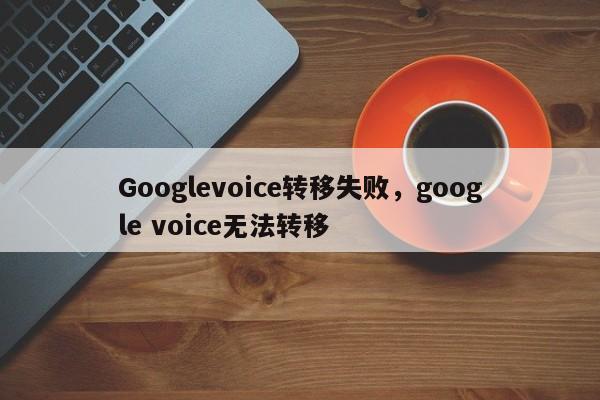 Googlevoice转移失败,google voice无法转移