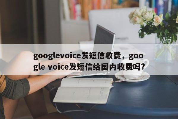 googlevoice发短信收费,google voice发短信给国内收费吗?