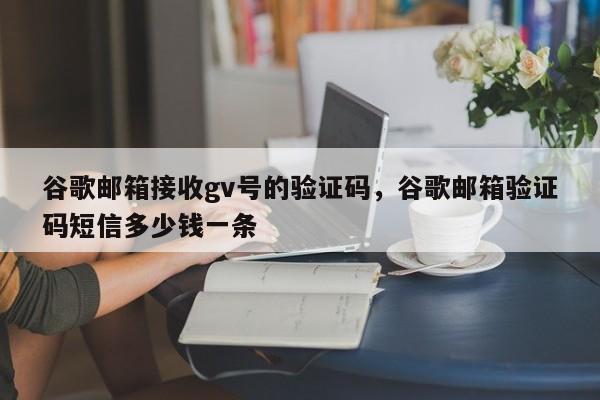 谷歌邮箱接收gv号的验证码,谷歌邮箱验证码短信多少钱一条