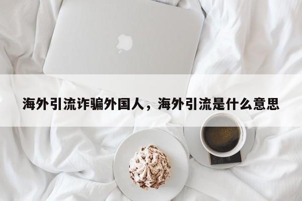 海外引流诈骗外国人,海外引流是什么意思