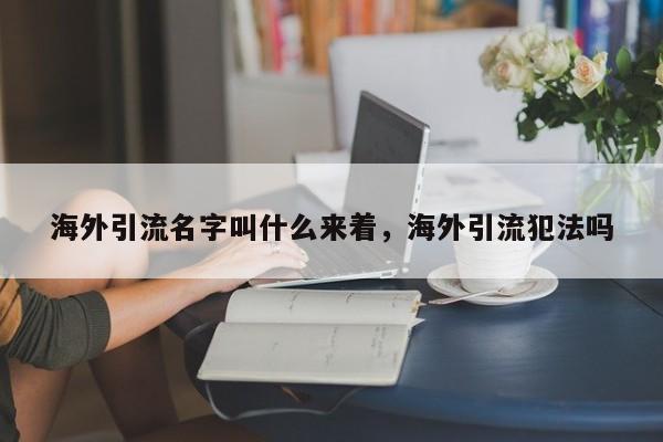 海外引流名字叫什么来着，海外引流犯法吗