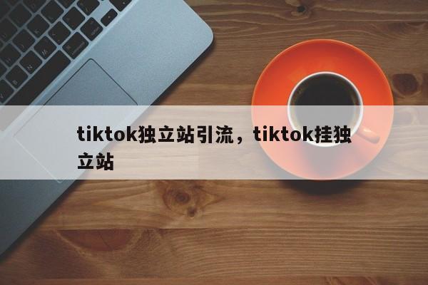 tiktok独立站引流，tiktok挂独立站