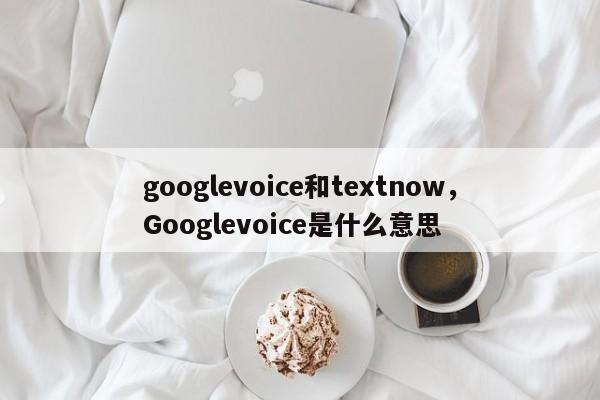 googlevoice和textnow，Googlevoice是什么意思