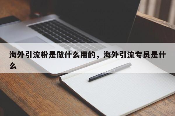 海外引流粉是做什么用的,海外引流专员是什么