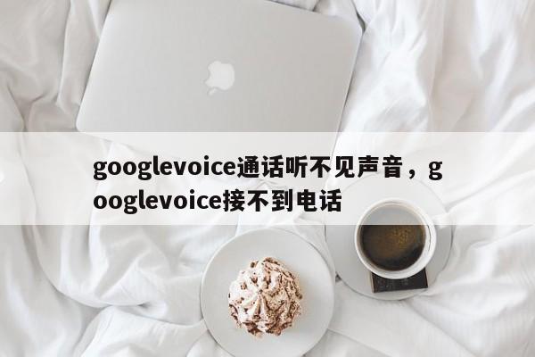googlevoice通话听不见声音,googlevoice接不到电话