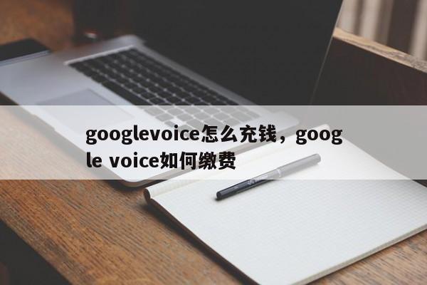 googlevoice怎么充钱,google voice如何缴费