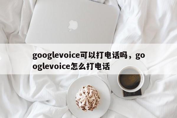 googlevoice可以打电话吗,googlevoice怎么打电话
