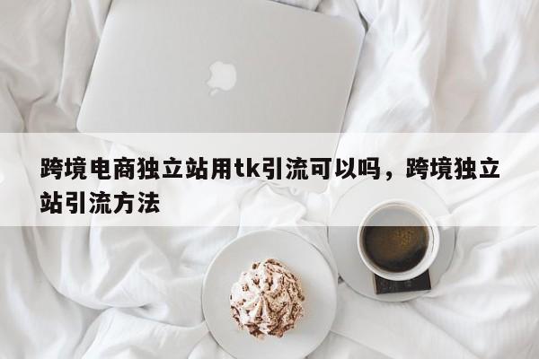 跨境电商独立站用tk引流可以吗，跨境独立站引流方法