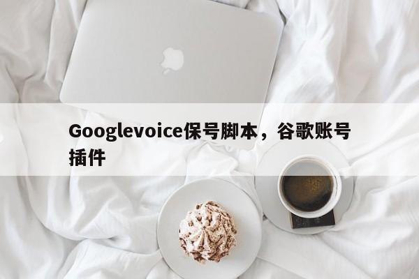 Googlevoice保号脚本,谷歌账号插件