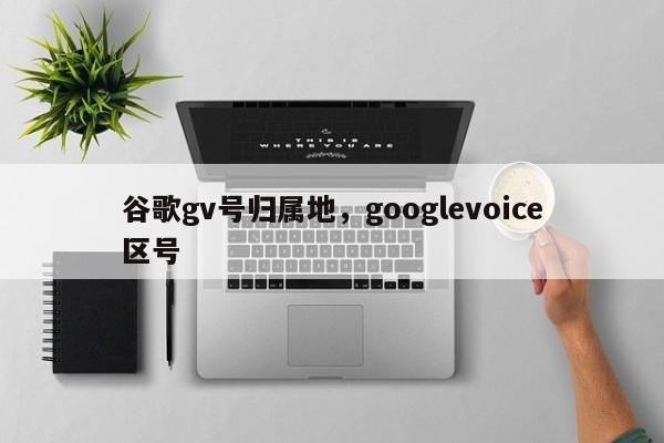 谷歌gv号归属地,googlevoice区号