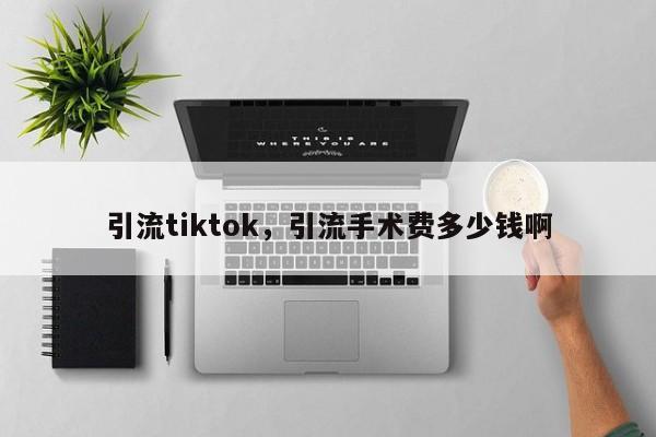 引流tiktok,引流手术费多少钱啊