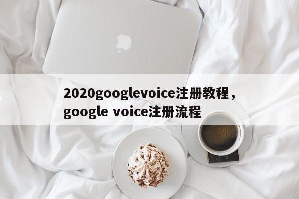 2020googlevoice注册教程,google voice注册流程
