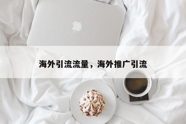 海外引流流量,海外推广引流