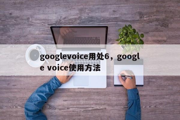 googlevoice用处6,google voice使用方法