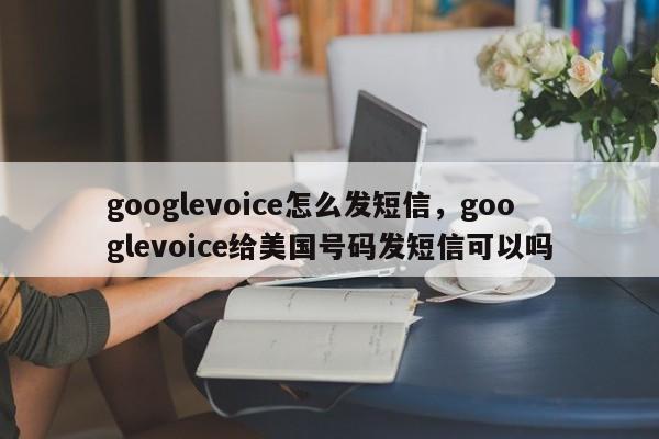 googlevoice怎么发短信,googlevoice给美国号码发短信可以吗