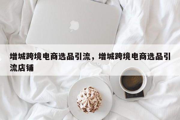 增城跨境电商选品引流，增城跨境电商选品引流店铺
