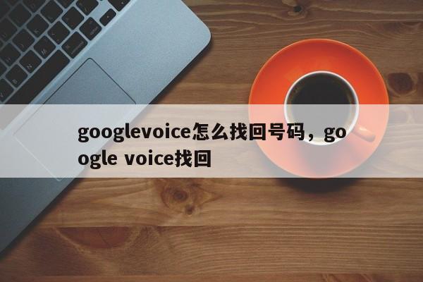 googlevoice怎么找回号码,google voice找回