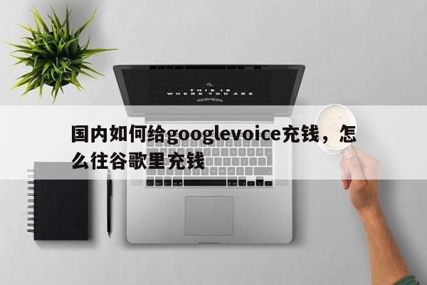 国内如何给googlevoice充钱,怎么往谷歌里充钱