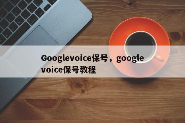 Googlevoice保号,googlevoice保号教程