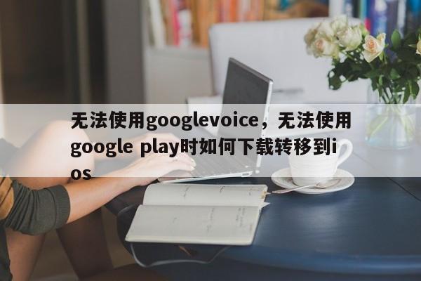 无法使用googlevoice,无法使用google play时如何下载转移到ios