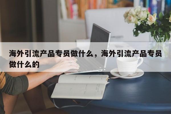 海外引流产品专员做什么，海外引流产品专员做什么的