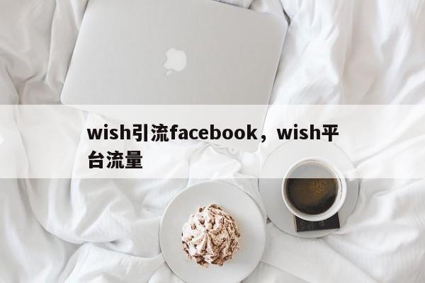 wish引流facebook,wish平台流量