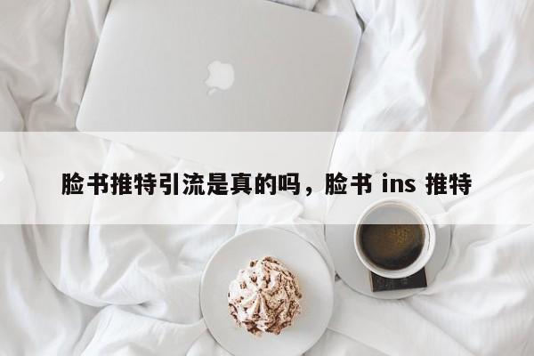 脸书推特引流是真的吗,脸书 ins 推特