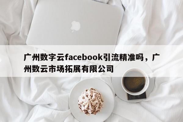 广州数字云facebook引流精准吗,广州数云市场拓展有限公司